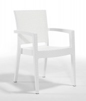 Paris Arm Chair White